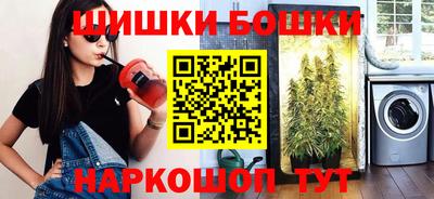 шишки Камышлов