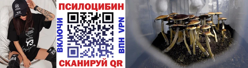 Галлюциногенные грибы Psilocybine cubensis купить наркотики цена Краснокаменск
