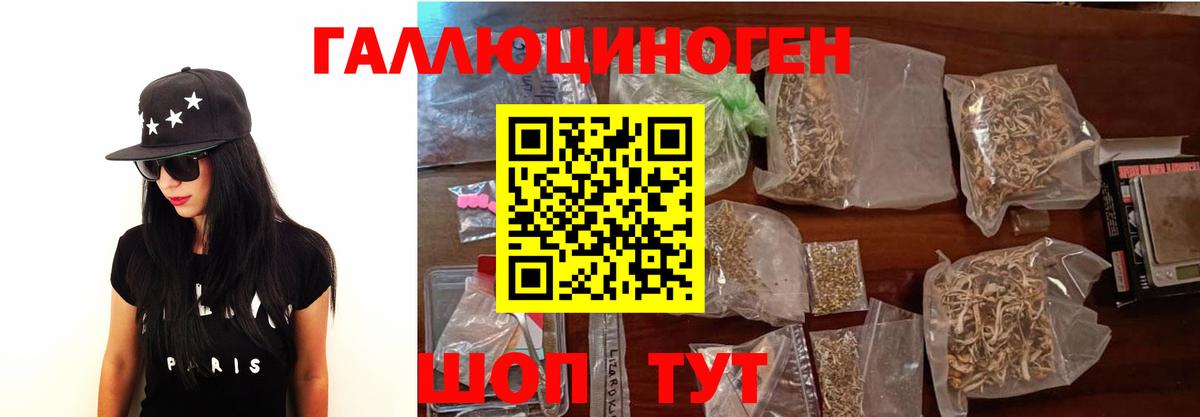 Краснокаменск  Псилоцибиновые грибы Psilocybe  Вход с VPN  Псилоцибиновые грибы ЛСД 