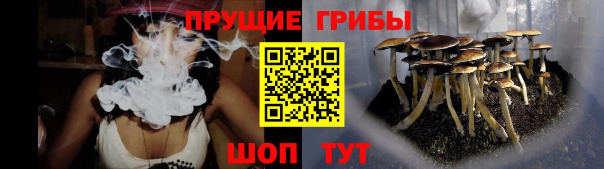 Псилоцибиновые грибы прущие грибы Краснокаменск